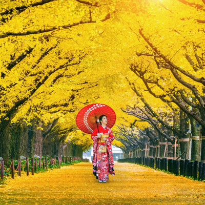 Bộ tranh xếp hình jigsaw puzzle cao cấp 1000 mảnh ghép – Đại Lộ Ngân Hạnh, Tokyo