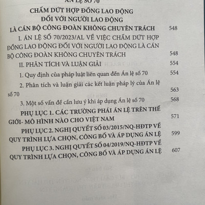 Án Lệ Việt Nam - Phân Tích  và Luận Giải ( Từ Án lệ số 44 đến Án lệ số 70 ) Tập 2