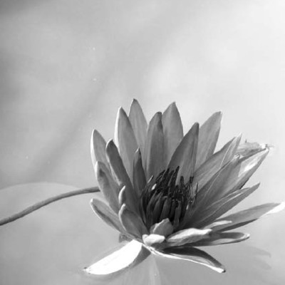 Sách - Sức Mạnh Lòng Kiên Nhẫn (Tái Bản)