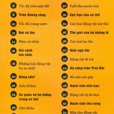 Infomania - Các Kỷ Lục, Top 10 Và Những Thông Tin Kỳ Thú Khác