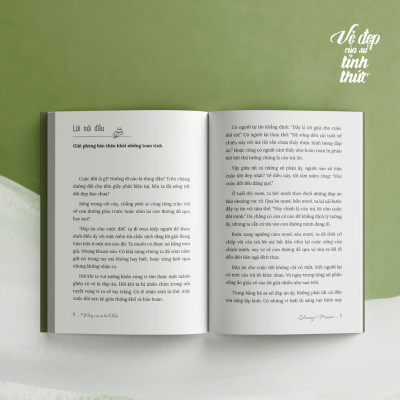 Sách - Vẻ Đẹp Của Sự Tỉnh Thức