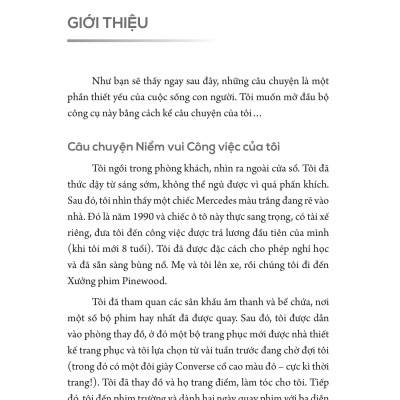 Sách - Niềm Vui Công Việc - Ngăn Chán Nản, Tìm Đam Mê