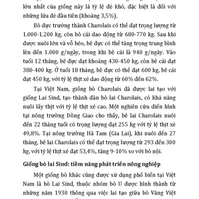 Nông Nghiệp Xanh Và Sạch - Nuôi Bò Thịt Sạch