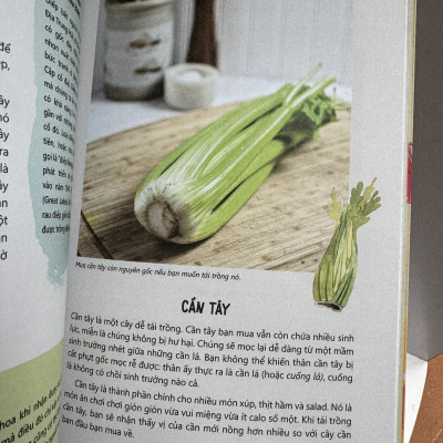 BẾP KHÔNG RÁC – TÁI SINH RAU CỦ - Katie Elzer Peters – Quế Chi dịch – NXB Thế giới – ThaiHa Books