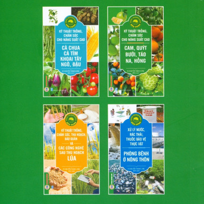  Kỹ Thuật Trồng, Chăm Sóc Cho Năng Suất Cao: Cam, Quýt, Bưởi, Táo, Na, Hồng (Tái bản 2024)