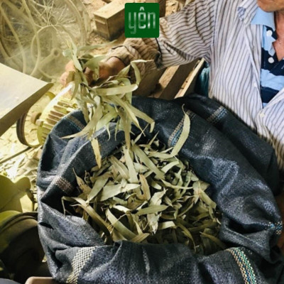 Nhang Thảo Mộc 0.5kg Giá Sỉ Quế Khuynh Diệp Hương Bài Loại 23-30-40cm 400-350-250 Thanh Yên 100 % Tự Nhiên Thờ Cúng