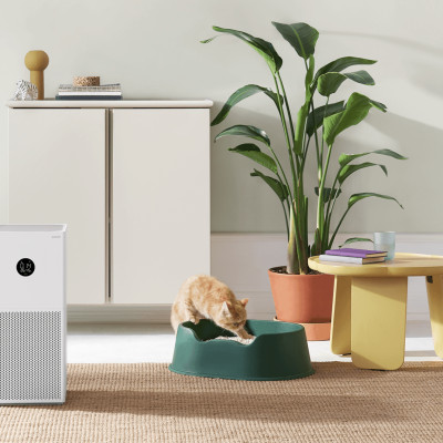 Máy Lọc Không Khí Xiaomi Air Purifier 4 Lite - Bản Quốc Tế Lọc Bụi Mịn Kết Nối App Phù Hợp Không Gian 45 m2 - Hàng Chính Hãng