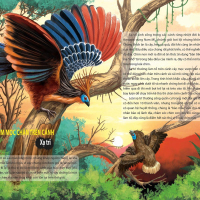 Khám Phá Thế Giới Động Vật Kì Thú: Thế Giới Của Các Loài Vật Kì Quái (Tái Bản 2021)