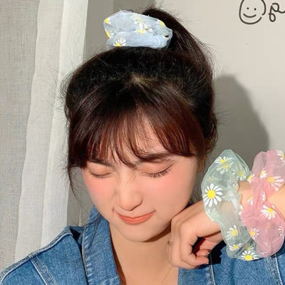 Sét 2 dây buộc tóc in cúc họa mi HD49 giao mầu ngẫu nhiên