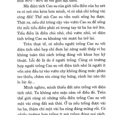 Kỹ Thuật Trồng Cây Cao Su Với Diện Tích Nhỏ