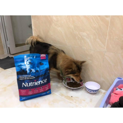 Thức Ăn Cho Chó - Size Nhỏ Trưởng Thành Trên 12 Tháng Nutrience Original Bao 2,5kg - Thịt Gà, Rau Củ, Trái Cây