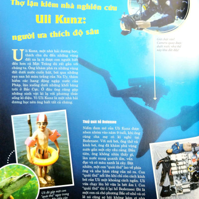 Thế Nào Và Tại Sao - Các Loài Cá - Thế Giới Diệu Kì Dưới Nước - Bìa Cứng (Tái Bản 2023)