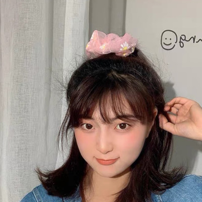 Sét 2 dây buộc tóc in cúc họa mi HD49 giao mầu ngẫu nhiên