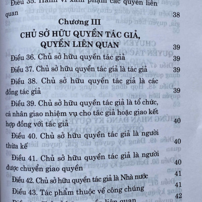 Luật Sở hữu trí tuệ năm 2005 ( Sửa dổi, bổ sung năm 2009,2019 )
