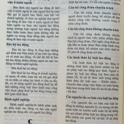 Từ điển Pháp Luật Việt Nam