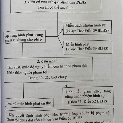 Mô Hình Luật Hình Sự Việt Nam
