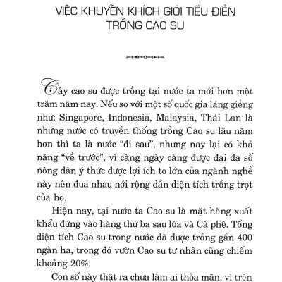 Kỹ Thuật Trồng Cây Cao Su Với Diện Tích Nhỏ