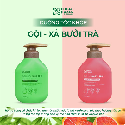 Dầu Gội Xả Hữu Cơ Bưởi Trà Cỏ Cây Hoa Lá VIETNAM, Dưỡng Tóc Chắc Khỏe, Mềm Mượt Tự Nhiên- Dung Tích 350gr