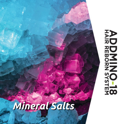 DẦU GỘI TÁI SINH TÓC - 1000ML (Addmino - 18 1 Hair Reborn Cleanser)