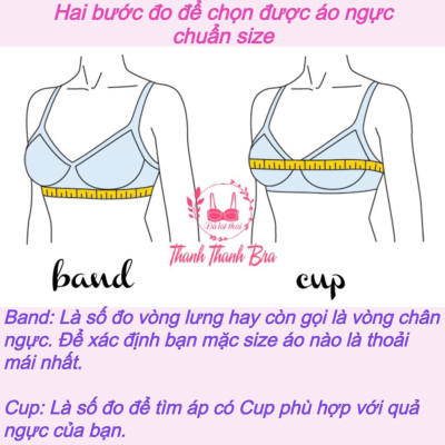 Áo Lót Thái lan 284 – Chất ren mịn, mút vừa, có gọng, Cup B