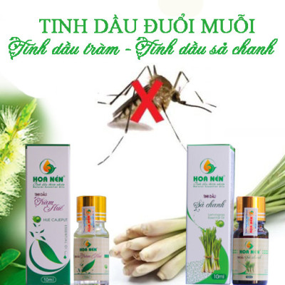 Tinh dầu tràm Huế nguyên chất Hoa Nén 100ml