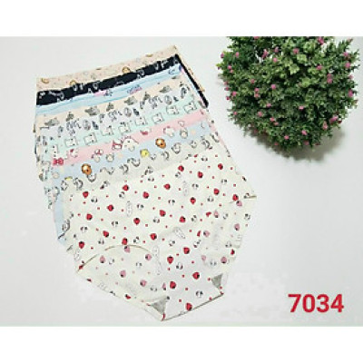 Sét 10 quần lót su hoa thông hơi họa tiết hàng cao cấp (từ 40kg-58kg )