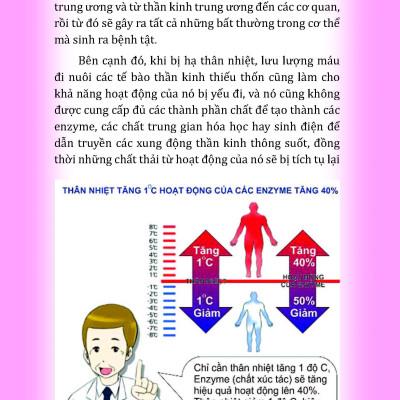 Thân Nhiệt Quyết Định Sinh Lão Bệnh Tử + Thân Nhiệt Năng Lượng Cốt Yếu Của Sự Sống