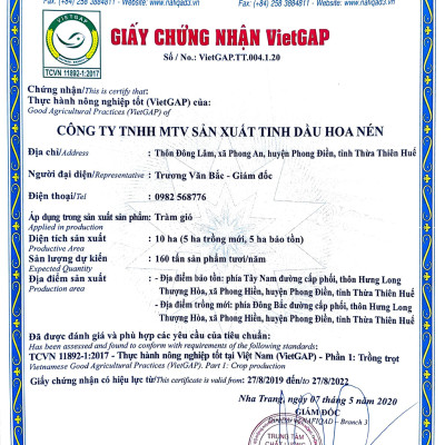 Tinh dầu Tràm Huế nguyên chất 100ml - Hoa Nén - Chuẩn VietGAP - Vegan - Chăm sóc sức khoẻ mẹ và bé