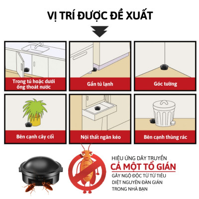 Thuốc Diệt Gián Hộp 12 Viên, Diệt Tận Gốc, Dễ Sử Dụng, Tác Dụng Lâu Dài, An Toàn