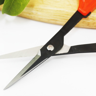 Kéo cắt nho cao cấp Nhật Bản Chikamasa B-300