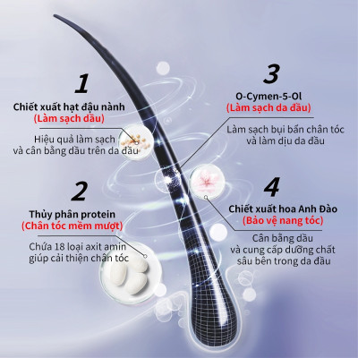 Combo Dầu Gội Kiêm Dầu Giảm Bết + Dâu Xả Giảm Rụng Tóc Pharma 21 Nhật Bản - Chai 600ml