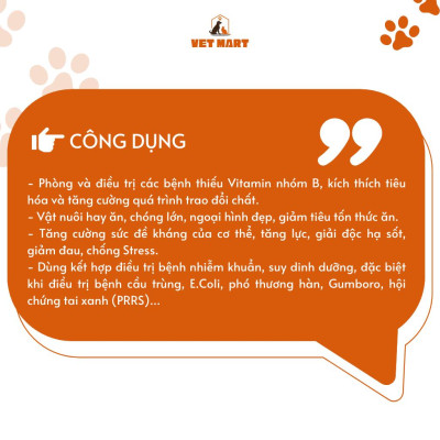 B.Comlex K&C - Thức ăn hỗ trợ Thèm Ăn, Tăng Cân cho Chó, Mèo_Fivevet, 100G