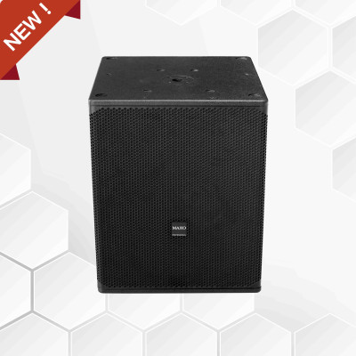 Loa Sub 5 Tấc D118D - Hàng Nhập Khẩu Chính Hãng