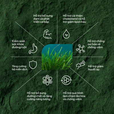 Viên Uống Tảo Xoắn TA Spirulina Thiên Nhiên Từ Singapore - Hỗ Trợ Giảm Mỡ Máu, Tăng Cường Sức Đề Kháng Cho Mọi Lứa Tuổi Hộp 60 Viên