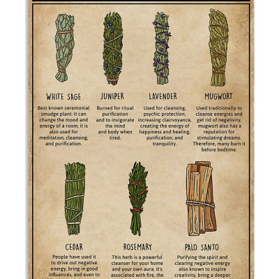 Bó lá xô thơm trắng và lá thánh (white sage + Yerba Santa)