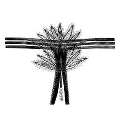 Quần lót nữ phối ren có đính hạt lọt khe sexy