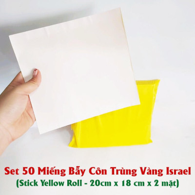 25 Miếng Bẫy Ruồi Vàng, Bẫy Côn Trùng gây hại rau sạch và cây ăn trái tại nhà nhập khẩu Israel Sticky Yellow Roll 