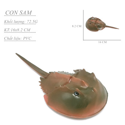 Bộ 6 đồ chơi sinh vật biển cổ đại, Tôm, Sam, Bạch tuộc, Bọ cạp biển khổng lồ mô hình giáo cụ dạy học cho bé