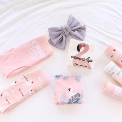 5 quần lót nữ tam giác cotton hình thiên nga