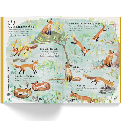 A lê hấp! Thế giới thú dữ - CASA SUNSHINE