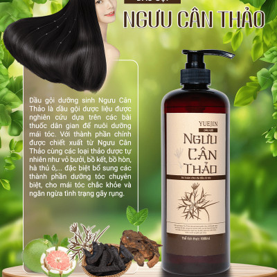 [Thảo Dược Thật] Dầu gội bồ kết, bưởi cô đặc, dầu gội thảo dược phụ hồi tóc, ngăn ngừa gãy rụng - Ngưu Cân Thảo 500ml