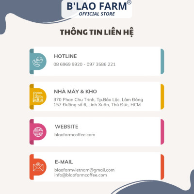 Cà phê nhân xanh ROBUSTA S18 B