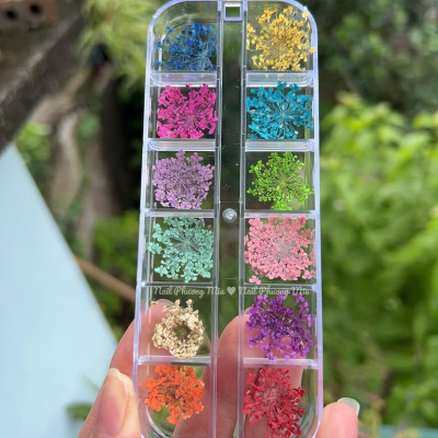 Set Hoa Khô Đắp Gel Ẩn Móng 12 Màu, Trang Trí Nail Độc Đáo, Tạo Hiệu Ứng Đẹp, Chùm Hoa Nhiều, Làm Nail Chuyên Nghiệp Women Nữ Sơn Gel