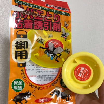 Bẫy Keo Dán Diệt Ruồi Nhỏ Gọn Giúp Không Gian Luôn Sạch Sẽ