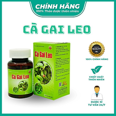 Cà gai leo - Năng Động - giải độc gan, giảm mề day, vàng da