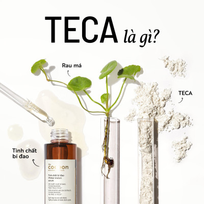 Combo Tinh chất bí đao sạch mụn cocoon 70ml + Son dưỡng dầu dừa Bến Tre cocoon 5g