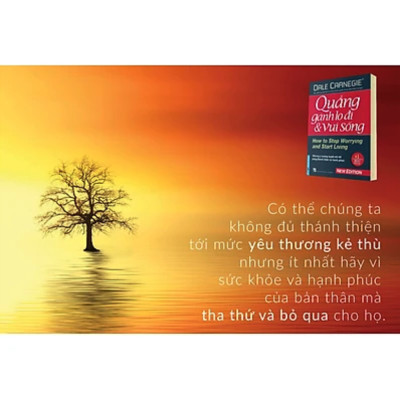 Combo Sách Tư Duy - Kỹ Năng Sống: Đắc Nhân Tâm (Bìa Cứng) + Quẳng Gánh Lo Đi Và Vui Sống (Bìa Cứng)