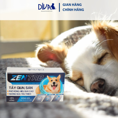 XỔ GIUN HƯƠNG SỮA DÊ DIVA X ZENTAB HỘP 100 VIÊN