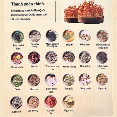 COMBO 2 Hộp Tinh Chất Hồng Sâm Đông Trùng Hạ Thảo Hàn Quốc 6 Năm Tuổi - 60 gói x 70ml