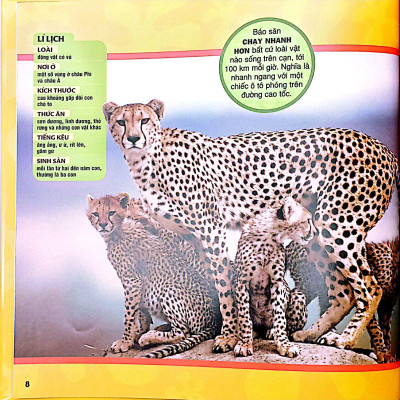 Sách - Cuốn Sách Lớn Đầu Tiên Của Tớ - Động Vật - Bìa Cứng (Tái Bản 2024)